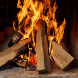 burning scene of pine firewood