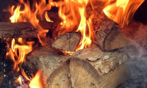 Oak vs. Pecan: Selecting the Superior Smoking Wood