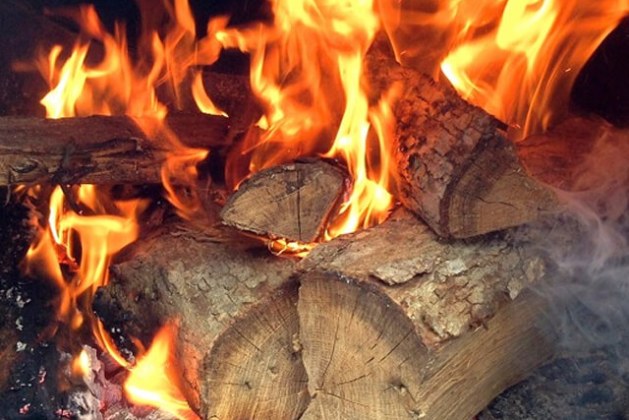 Oak vs. Pecan: Selecting the Superior Smoking Wood