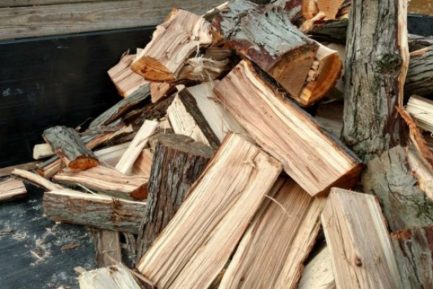 How To Identify Hickory Wood For Smoking- Easy And Simple Ways