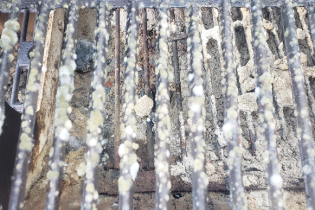 Does Mold On Your Grill Pose A Sickness Risk- A Comprehensive Guide!